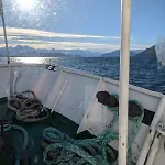4 H Arctic Explorer Cruise With *