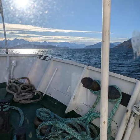 4 H Arctic Explorer Cruise With *